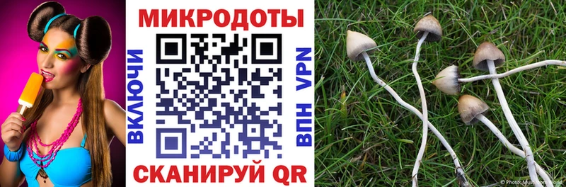 Галлюциногенные грибы мицелий  где продают   Каспийск 